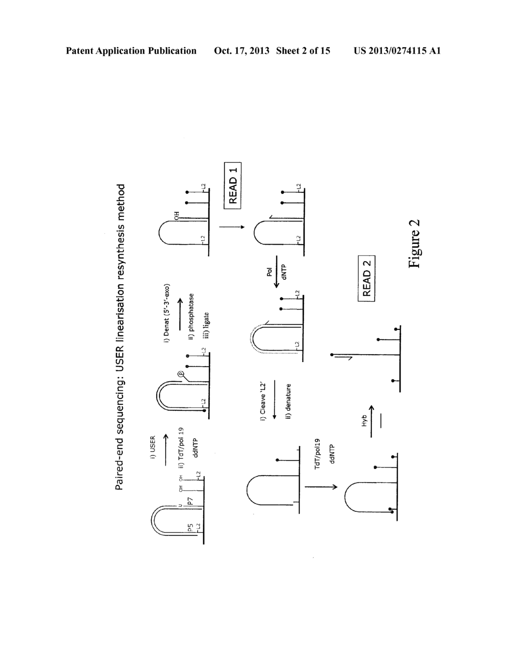 METHOD FOR PAIRWISE SEQUENCING OF TARGET POLYNUCLEOTIDES - diagram, schematic, and image 03