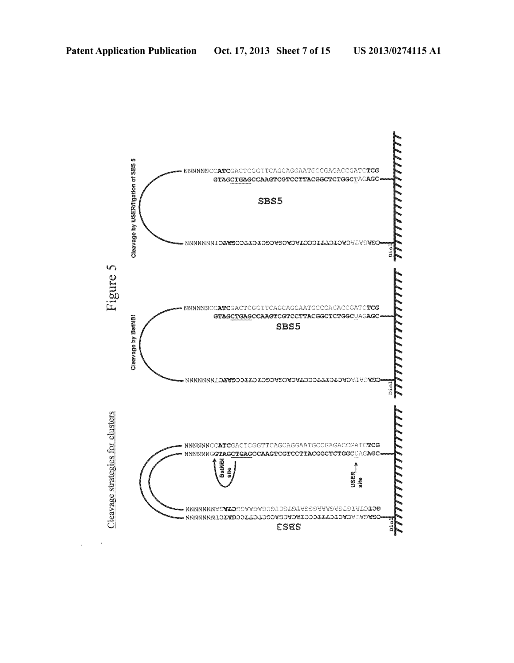 METHOD FOR PAIRWISE SEQUENCING OF TARGET POLYNUCLEOTIDES - diagram, schematic, and image 08