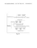 COMPOSITIONS OF TOEHOLD PRIMER DUPLEXES AND METHODS OF USE diagram and image