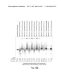 COMPOSITIONS OF TOEHOLD PRIMER DUPLEXES AND METHODS OF USE diagram and image