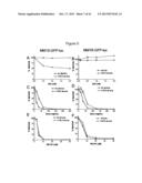 Cell Co-Culture Systems and Uses Thereof diagram and image