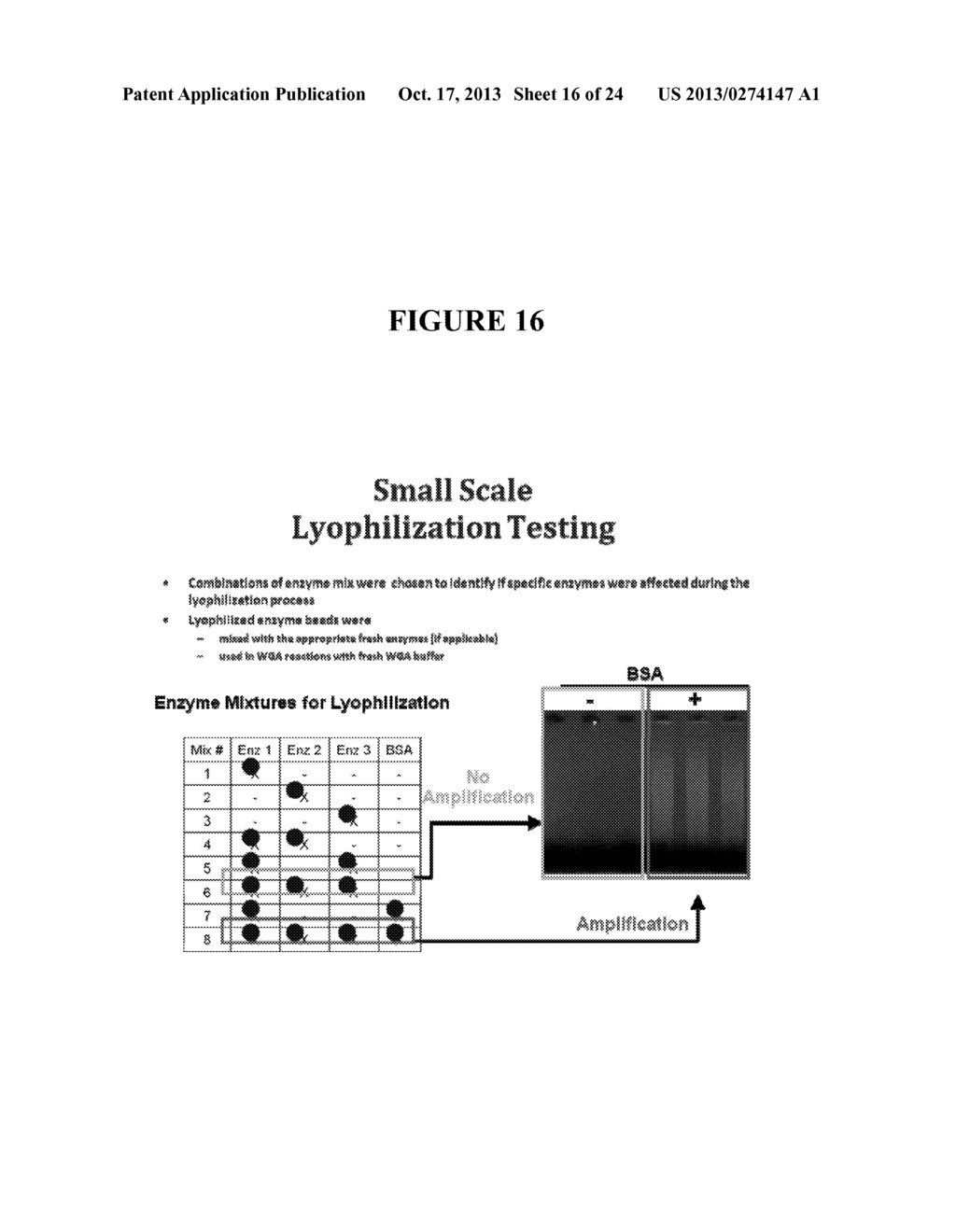 INTEGRATED SAMPLE PREPARATION SYSTEMS AND STABILIZED ENZYME MIXTURES - diagram, schematic, and image 17