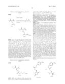 STABLE HELICAL IONIC POLYPEPTIDES diagram and image