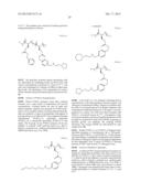 STABLE HELICAL IONIC POLYPEPTIDES diagram and image