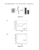 STABLE HELICAL IONIC POLYPEPTIDES diagram and image