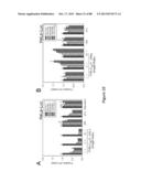 STABLE HELICAL IONIC POLYPEPTIDES diagram and image