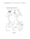 STABLE HELICAL IONIC POLYPEPTIDES diagram and image