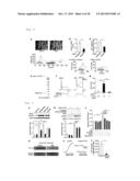 Pharmaceutical for Pseudo-Exercise Therapy diagram and image