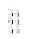 Pharmaceutical for Pseudo-Exercise Therapy diagram and image