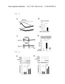 Pharmaceutical for Pseudo-Exercise Therapy diagram and image