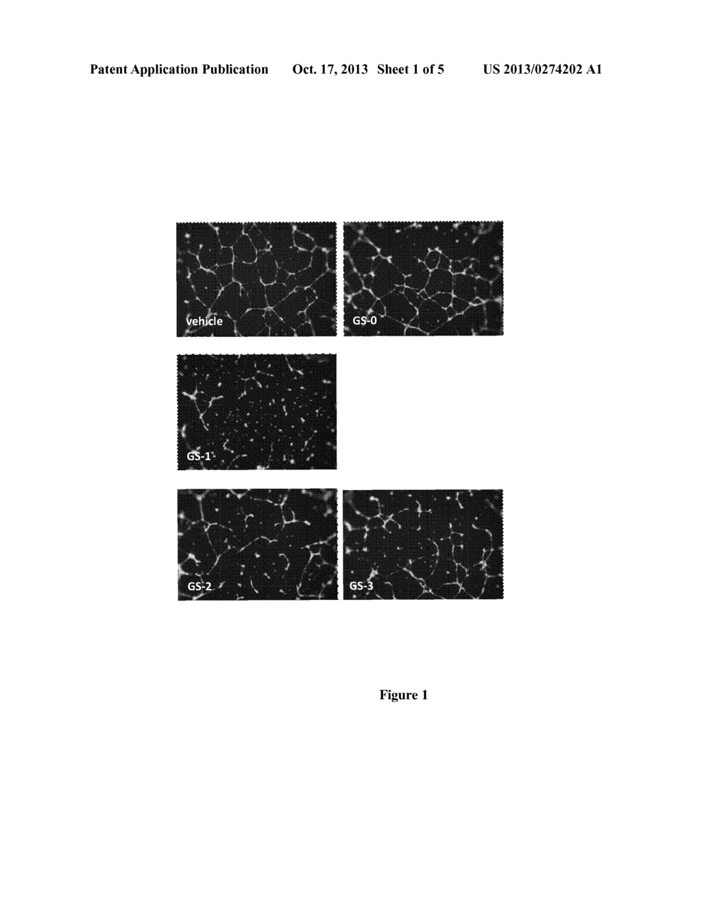 Peptides for Treating Cancer - diagram, schematic, and image 02