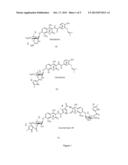 GLYCOSYLATED AMINOCOUMARINS AND METHODS OF PREPARING AND USES OF SAME diagram and image