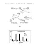 GLYCOSYLATED AMINOCOUMARINS AND METHODS OF PREPARING AND USES OF SAME diagram and image