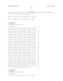 GLYCOSYLATED AMINOCOUMARINS AND METHODS OF PREPARING AND USES OF SAME diagram and image