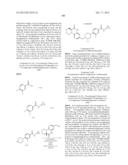 POLY (ADP-RIBOSE) POLYMERASE (PARP) INHIBITORS diagram and image