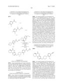 POLY (ADP-RIBOSE) POLYMERASE (PARP) INHIBITORS diagram and image