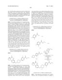 POLY (ADP-RIBOSE) POLYMERASE (PARP) INHIBITORS diagram and image