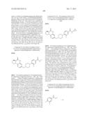 POLY (ADP-RIBOSE) POLYMERASE (PARP) INHIBITORS diagram and image