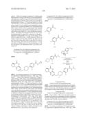 POLY (ADP-RIBOSE) POLYMERASE (PARP) INHIBITORS diagram and image