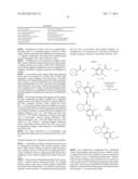 POLY (ADP-RIBOSE) POLYMERASE (PARP) INHIBITORS diagram and image