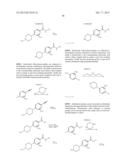 POLY (ADP-RIBOSE) POLYMERASE (PARP) INHIBITORS diagram and image