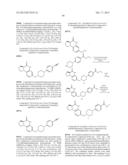 POLY (ADP-RIBOSE) POLYMERASE (PARP) INHIBITORS diagram and image