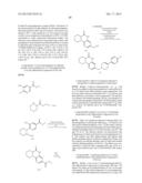 POLY (ADP-RIBOSE) POLYMERASE (PARP) INHIBITORS diagram and image