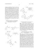 POLY (ADP-RIBOSE) POLYMERASE (PARP) INHIBITORS diagram and image