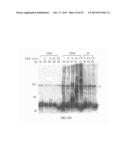 FACTOR VIII CONJUGATES diagram and image