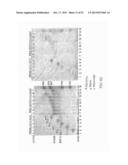 FACTOR VIII CONJUGATES diagram and image