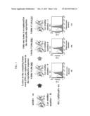 FRAGMENT OF HUMANIZED ANTI-EGFR ANTIBODY SUBSTITUTED-LYSINE VARIABLE     FRAGMENT AND USE THEREOF diagram and image