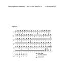 HUMANIZED ANTIBODIES AGAINST CXCR3 diagram and image