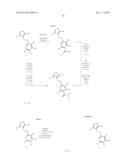 ISOXAZOLO-PYRIDINE DERIVATIVES diagram and image