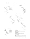 ISOXAZOLO-PYRIDINE DERIVATIVES diagram and image