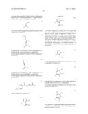 ISOXAZOLO-PYRIDINE DERIVATIVES diagram and image