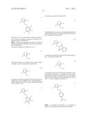 ISOXAZOLO-PYRIDINE DERIVATIVES diagram and image