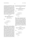 ASYMMETRIC SYNTHESES FOR SPIRO-OXINDOLE COMPOUNDS USEFUL AS THERAPEUTIC     AGENTS diagram and image