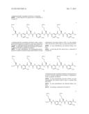 Processes For Preparing A Polymeric Compound diagram and image