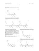 Processes For Preparing A Polymeric Compound diagram and image