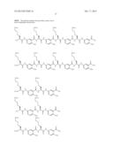 Processes For Preparing A Polymeric Compound diagram and image