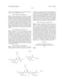 Processes For Preparing A Polymeric Compound diagram and image