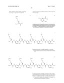 Processes For Preparing A Polymeric Compound diagram and image