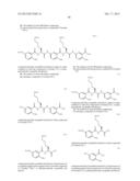 Processes For Preparing A Polymeric Compound diagram and image