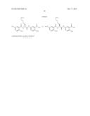 Processes For Preparing A Polymeric Compound diagram and image