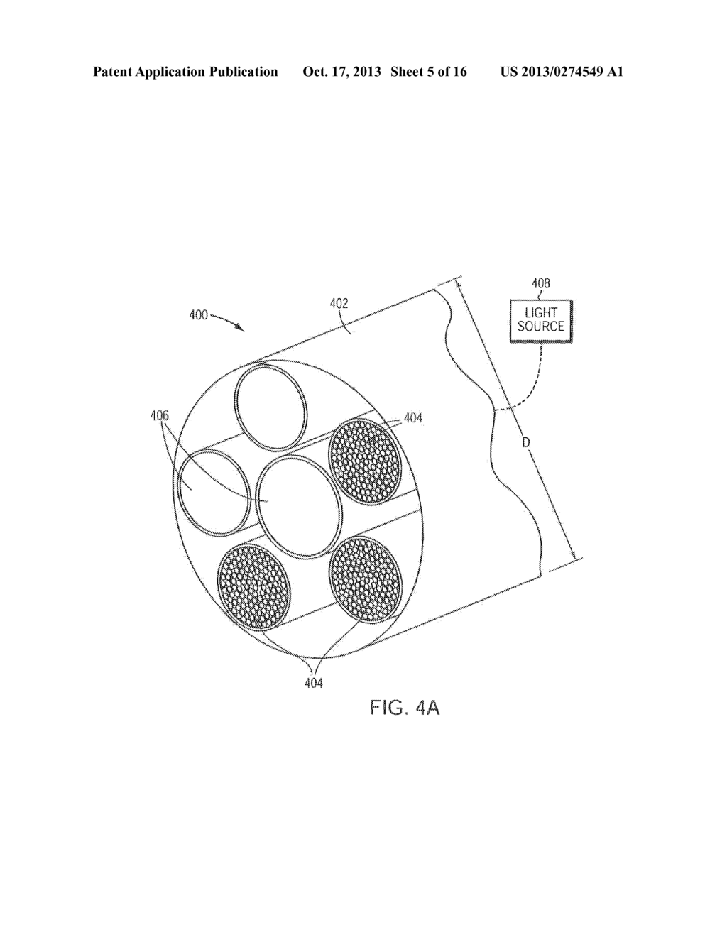 ENDOSCOPES ENHANCED WITH PATHOGENIC TREATMENT - diagram, schematic, and image 06