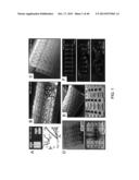 CARDIAC CATHETER EMPLOYING CONFORMAL ELECTRONICS FOR MAPPING diagram and image