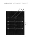 CARDIAC CATHETER EMPLOYING CONFORMAL ELECTRONICS FOR MAPPING diagram and image