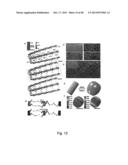 CARDIAC CATHETER EMPLOYING CONFORMAL ELECTRONICS FOR MAPPING diagram and image