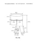 Visceral Double-Barreled Main Body Stent Graft and Methods for Use diagram and image