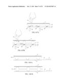 Sensor Having a Mesh Layer with Protrusions, and Method diagram and image